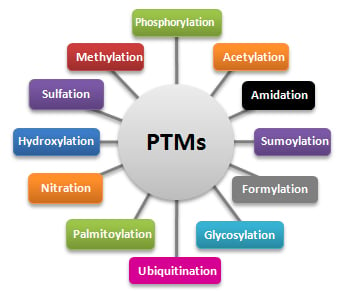 PTMs
