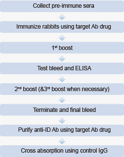 rabbit anti-idiotype pAb