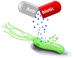 Antibiotic resistance, Rapid program for antibiotic resistance detection
