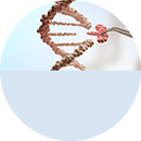 GenScript 15 Years of Innovation Celbration & Awards | GenScript