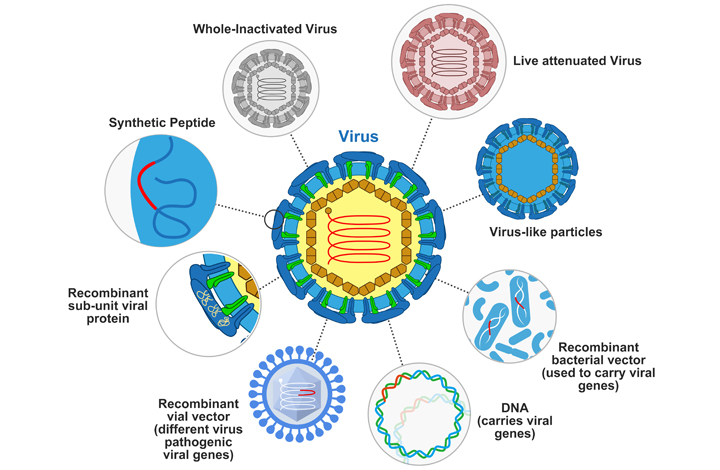 Recombinant Vaccine