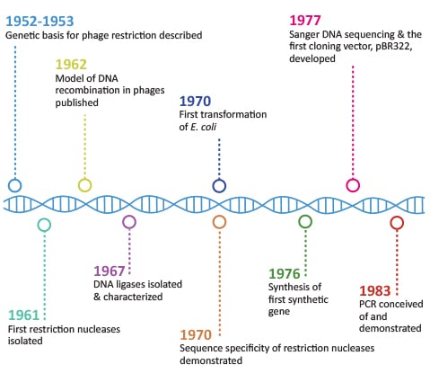 History of Molecular Cloning