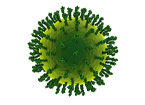 Influenza, Influenza vaccine, flu, flu vaccine, broad neutralizing antibodies