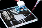 nanowires, nanotechnology, geobacter, synthetic biology, sustainable resources