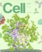 HIV envelope, HIV env, HIV trimers, glycan shield, glycoproteins