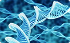 synthetic bacterium