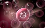 anaerobic microbe