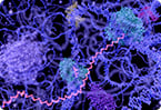 RNA trafficking