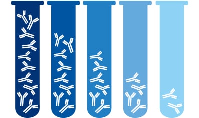 Serial antibody dilutions