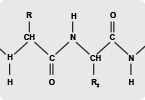 pharmakokinetics, peptide stability, drug delivery