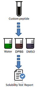 Solubility Testing Process and Deliverables
