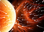 Zinc sparks during fertilization