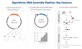synthetic biology webinars