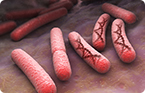 Innate immunity, RNA virus