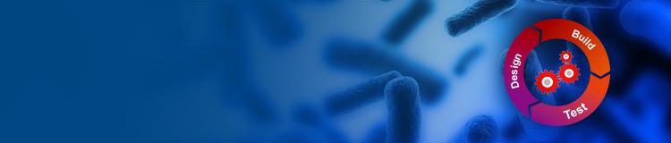 synthetic biology research supported by GenScript, a leader among synthetic biology companies synthetic biology research supported by GenScript, a leader among synthetic biology companies