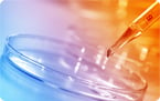 in-vitro virus research; infectious cell culture