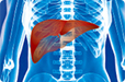 Targeting Epithelial-to-mesenchymal Transition May Provide Avenue for the Treatment of Fibrosis