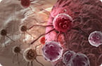 oncolytic virus