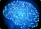 cognition, gene network
