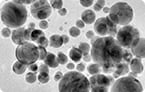 cancer immunotherapy