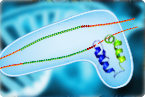 CRISPR Cas9 genome editing of the non-coding genome