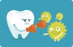 polyphenols in wild blueberry extract fight bacteria that cause dental plaque & periodontitis