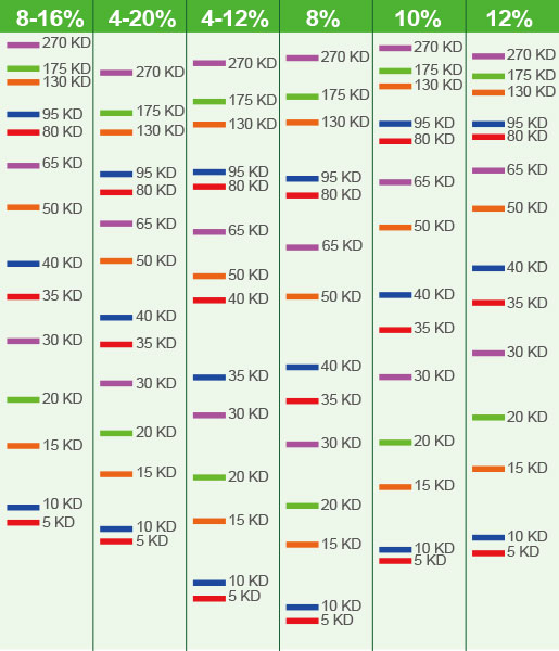 Invitrogen Gel Migration Chart