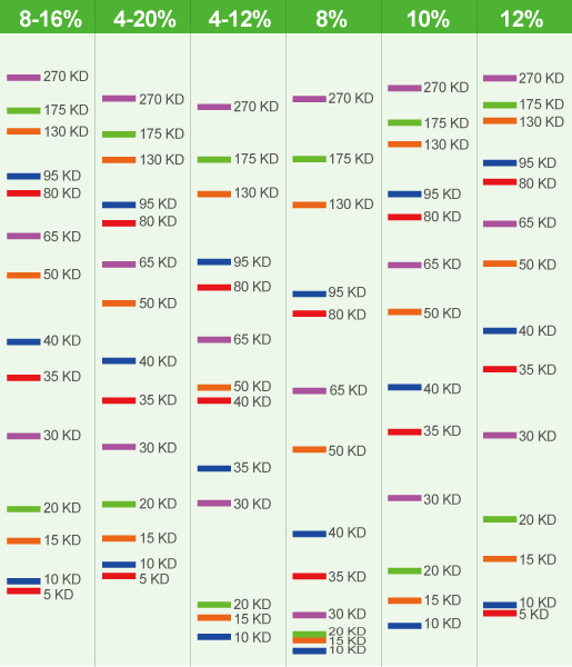 Invitrogen Gel Migration Chart