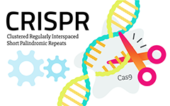 CRISPR Summer Sale is Here!