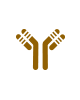 Reagent Antibody Services