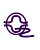 CRISPR sgRNA Synthesis