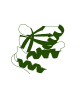 Protein Services