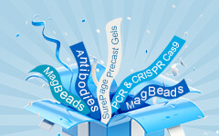 Free Sample