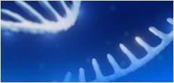Catalog IVT mRNA and circRNA Products