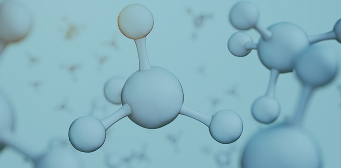 Peptide Services