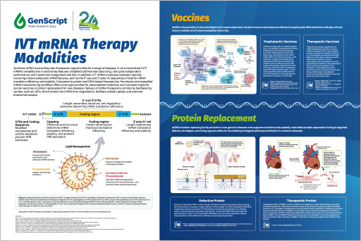 mRNA Therapy Infographic
