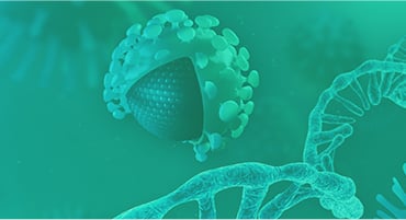 Custom mRNA