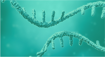 Catalog IVT RNA