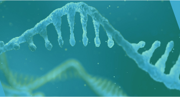 mRNA QC Analysis