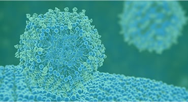 Lipid Nanoparticle Packaging