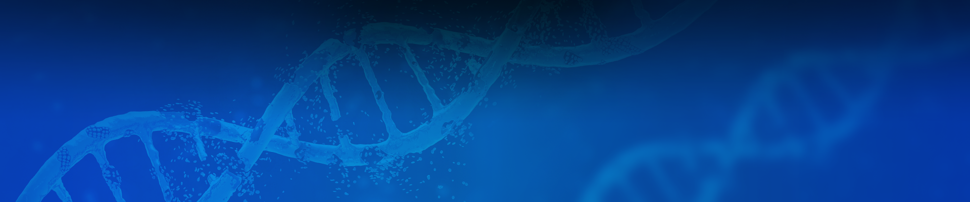  CRISPR Cell Line Development