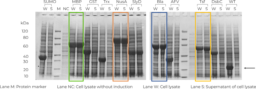 Solution 1: Various Tag Screening method