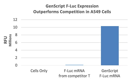 Expression of F-Luc mRNA in A549 cells