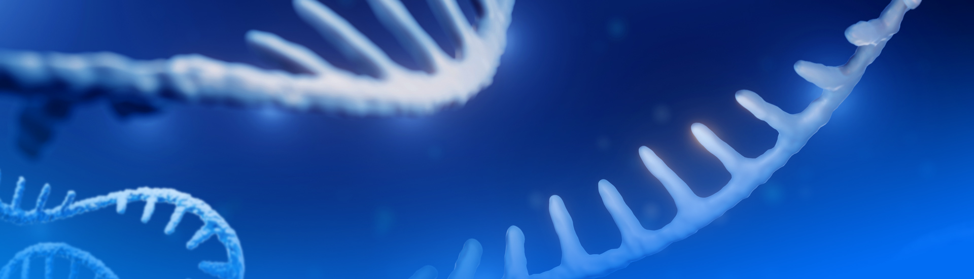 Catalog IVT mRNA and circRNA Products