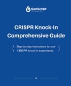 CRISPR Knock-in Comprehensive Guide