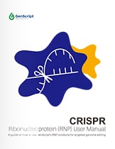 CRISPR/Cas9 gRNA Vector