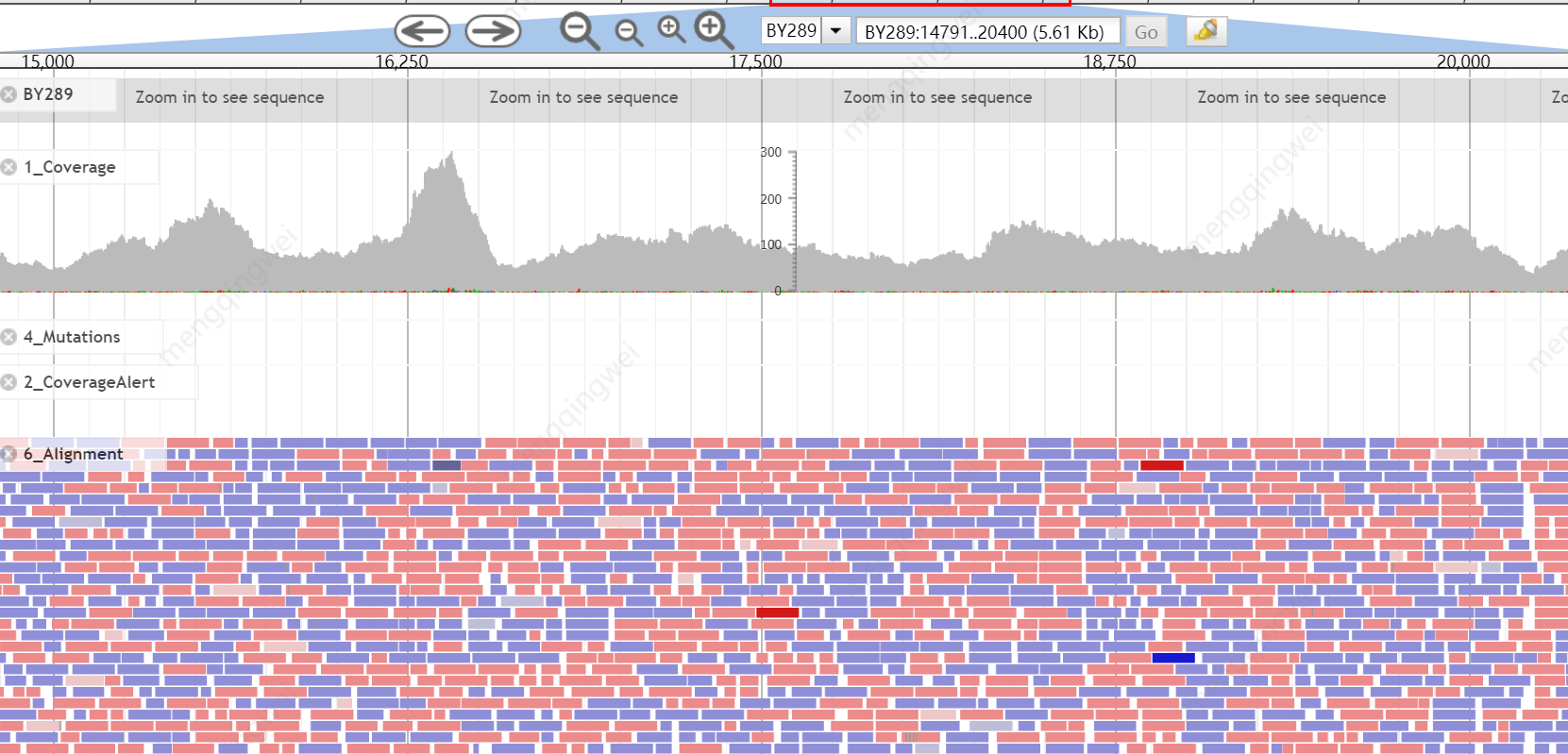 Fig. 4 NGS sequencing for final validation