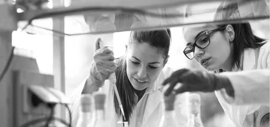 custom PCR cloning services