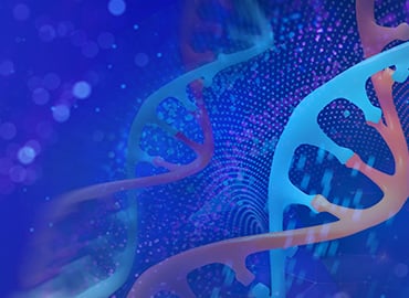 CRISPR Cell Lines