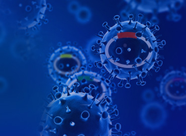 CRISPR gRNA Libraries